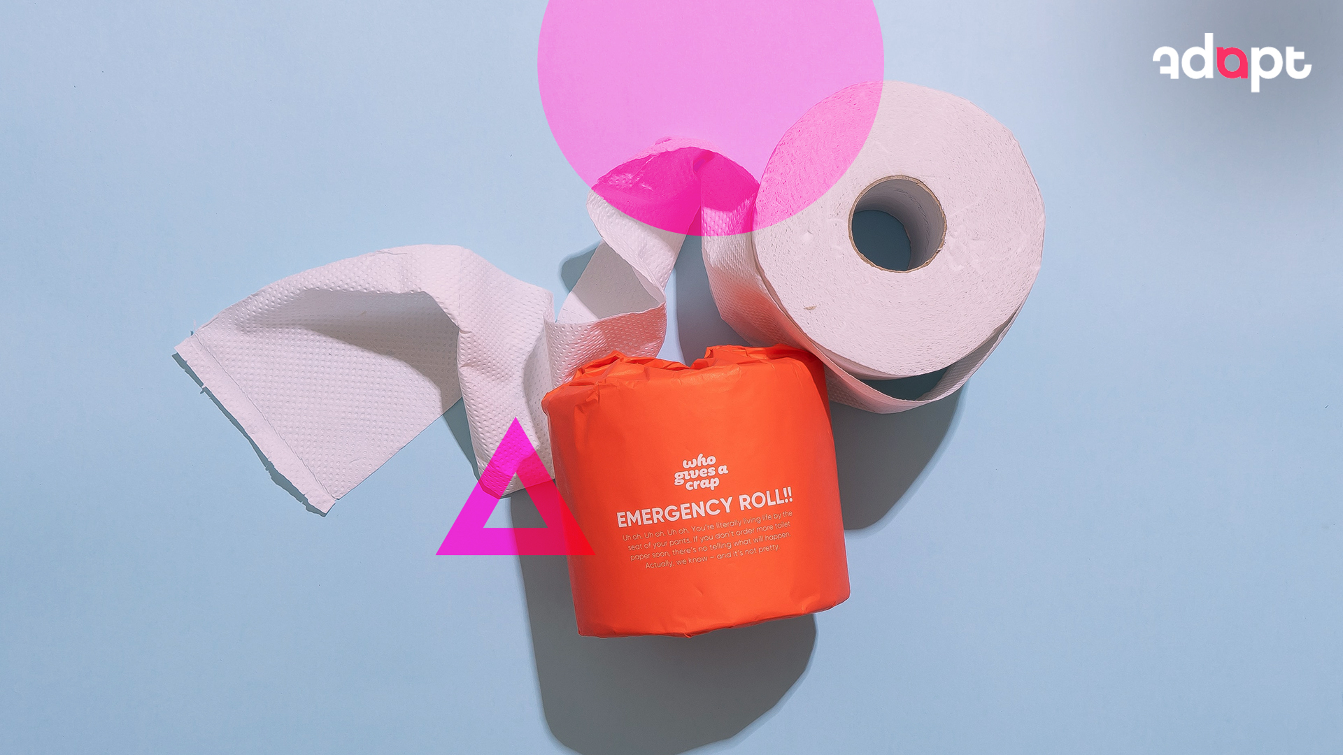 Brand strategy in a crisis blog with photo of emergency toilet paper