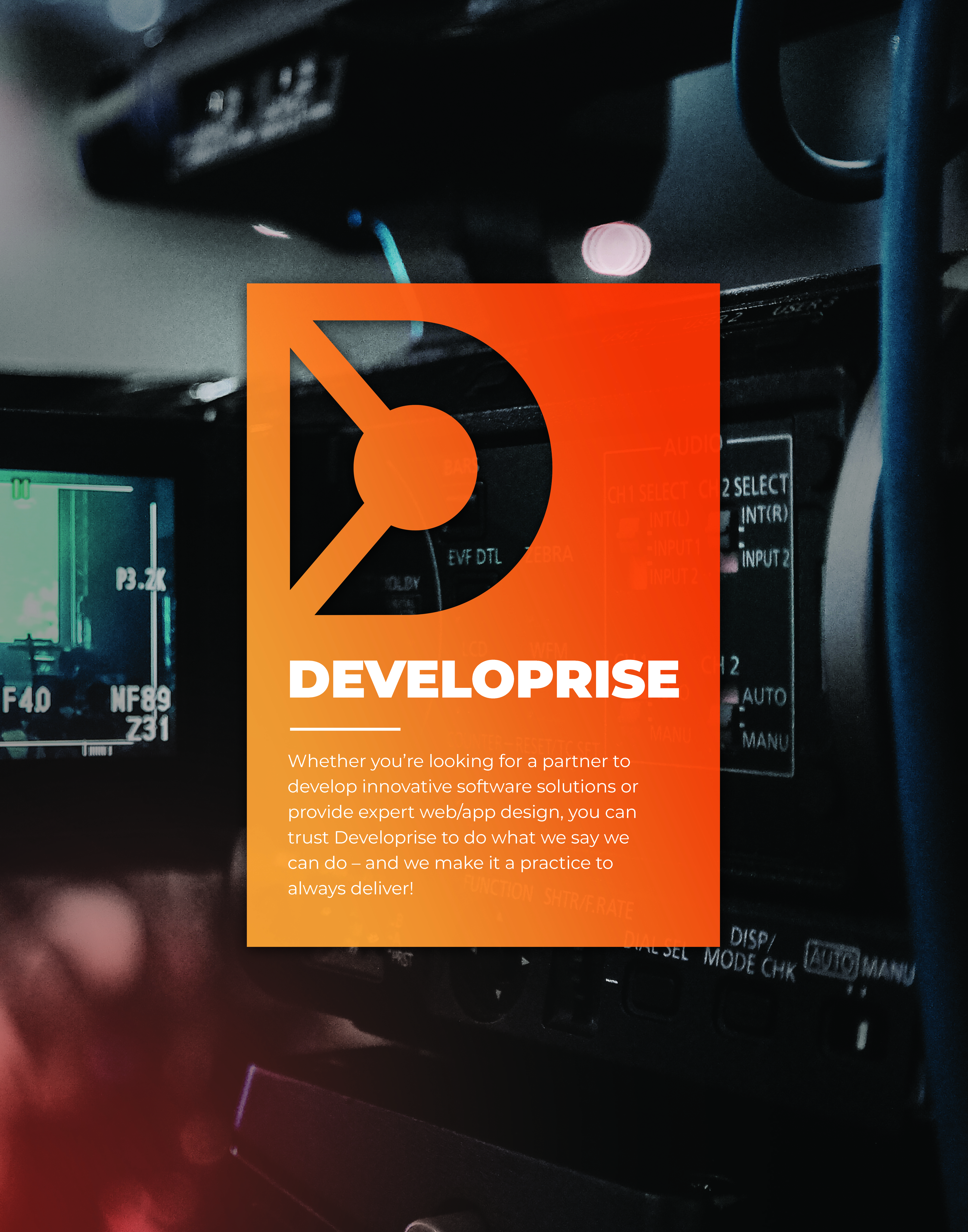 Developrise Poster
