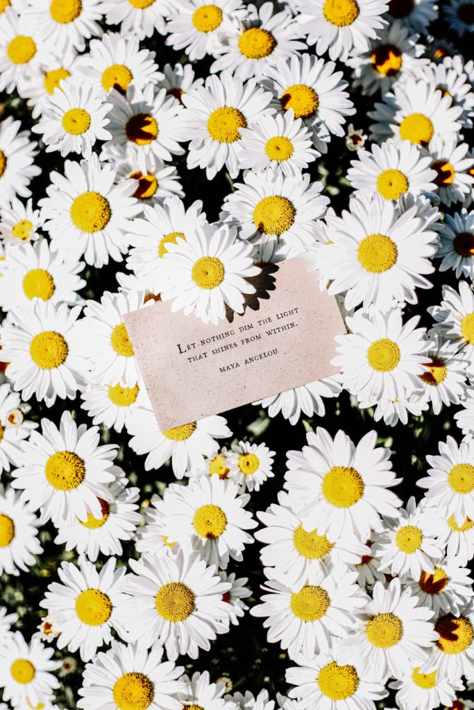 Group of white daisies with a card with the quote "Let nothing dim the light that shines from within," by Maya Angelou.